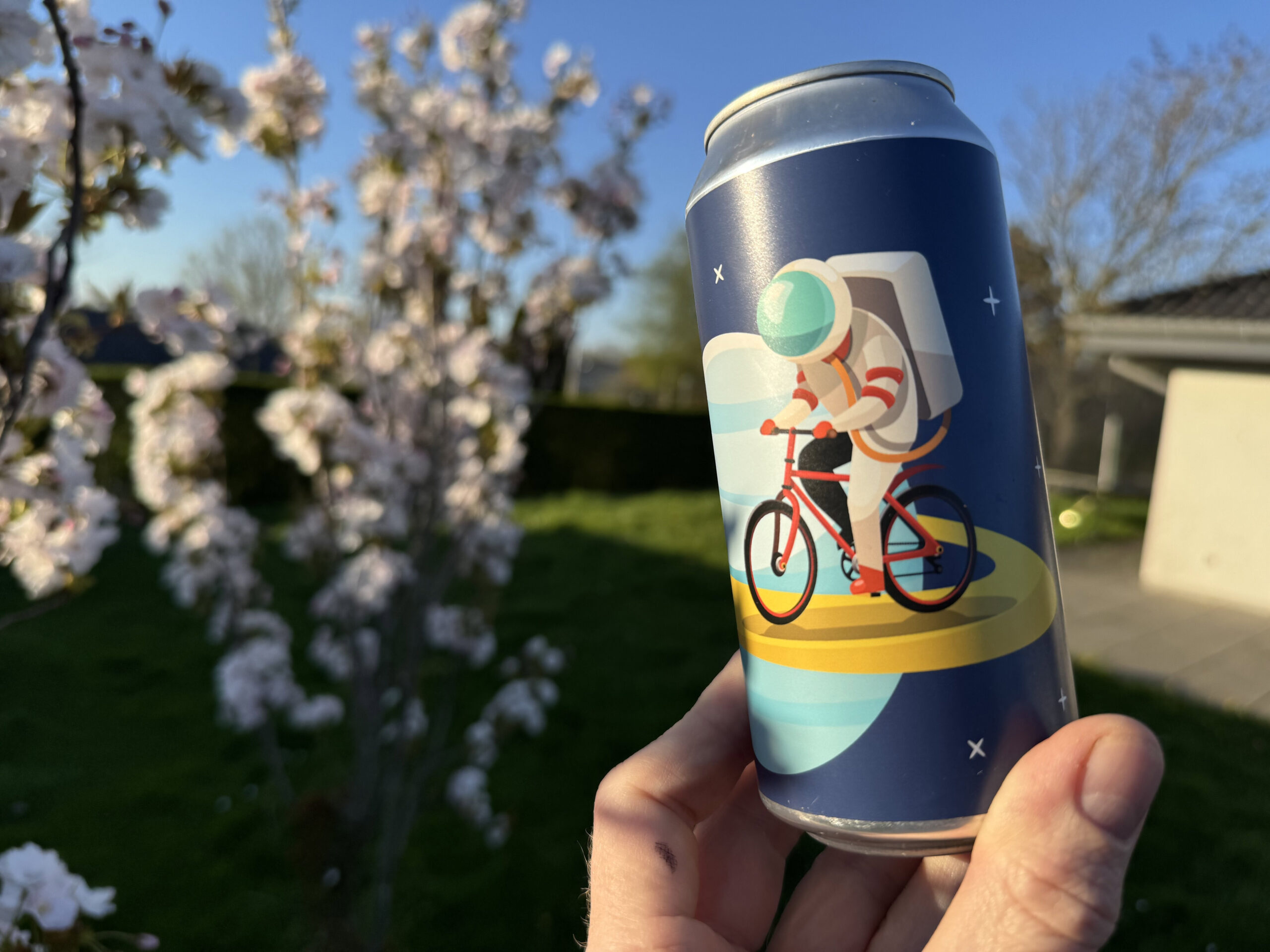 Dragonfly Saturn Ride Double IPA